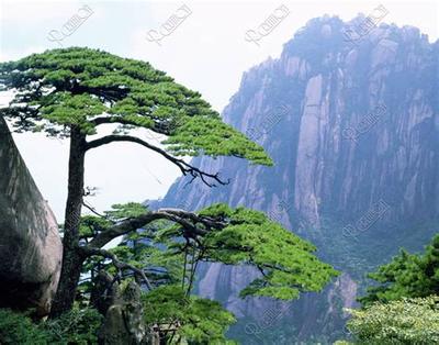 2025年黄历宜忌全解:6个重要注意事项