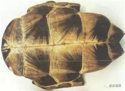 如何用塔罗牌看财运?最详细教程